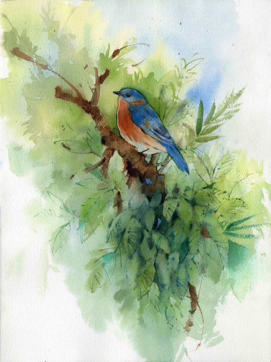 Blue Bird and Foliage