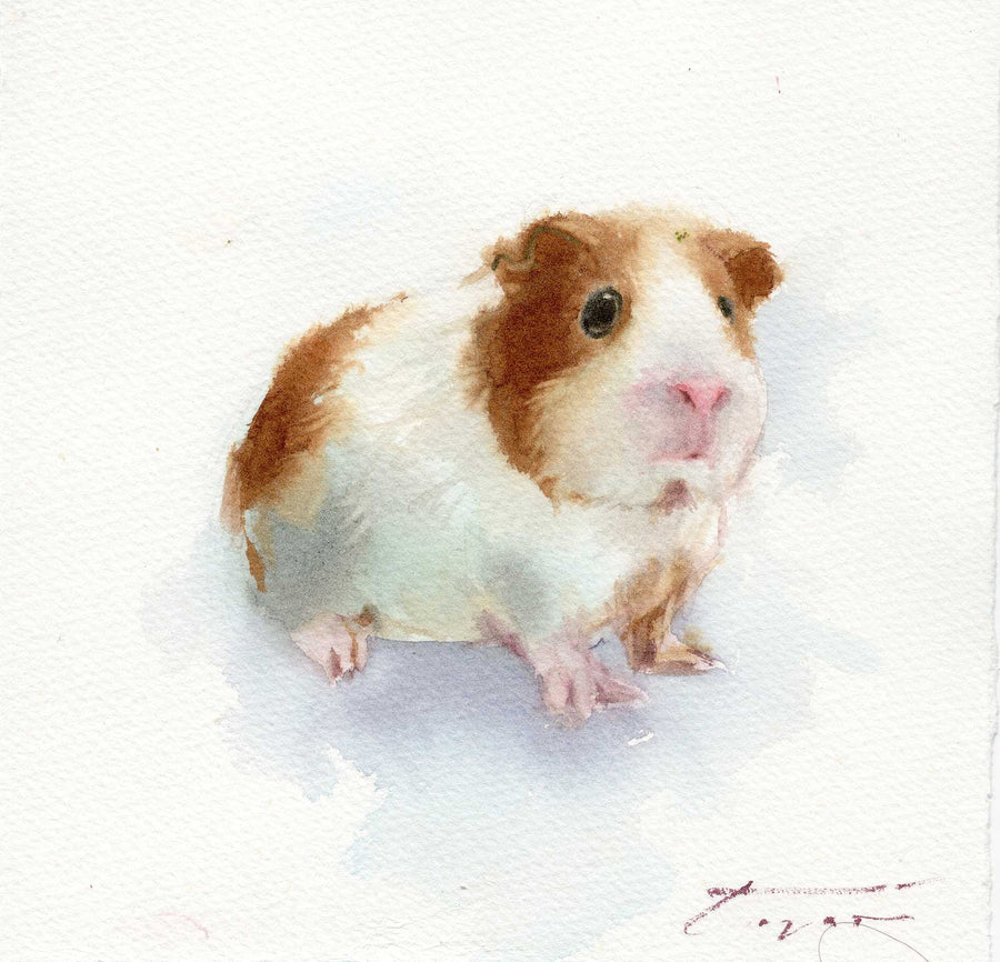 Little Guinea Pig