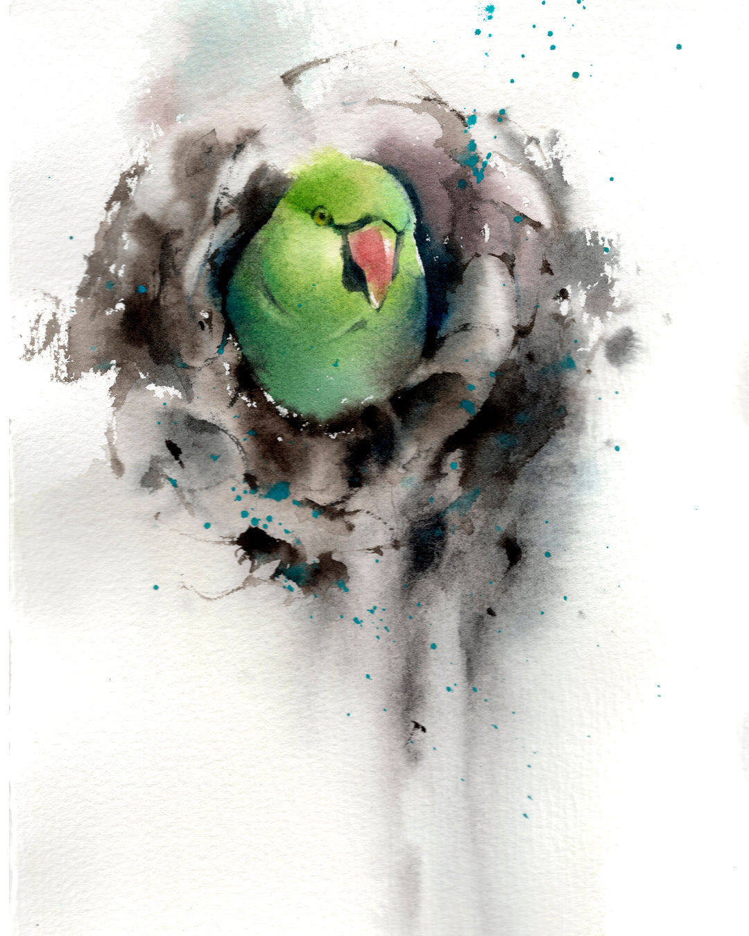 Parrot in Viveros Garden