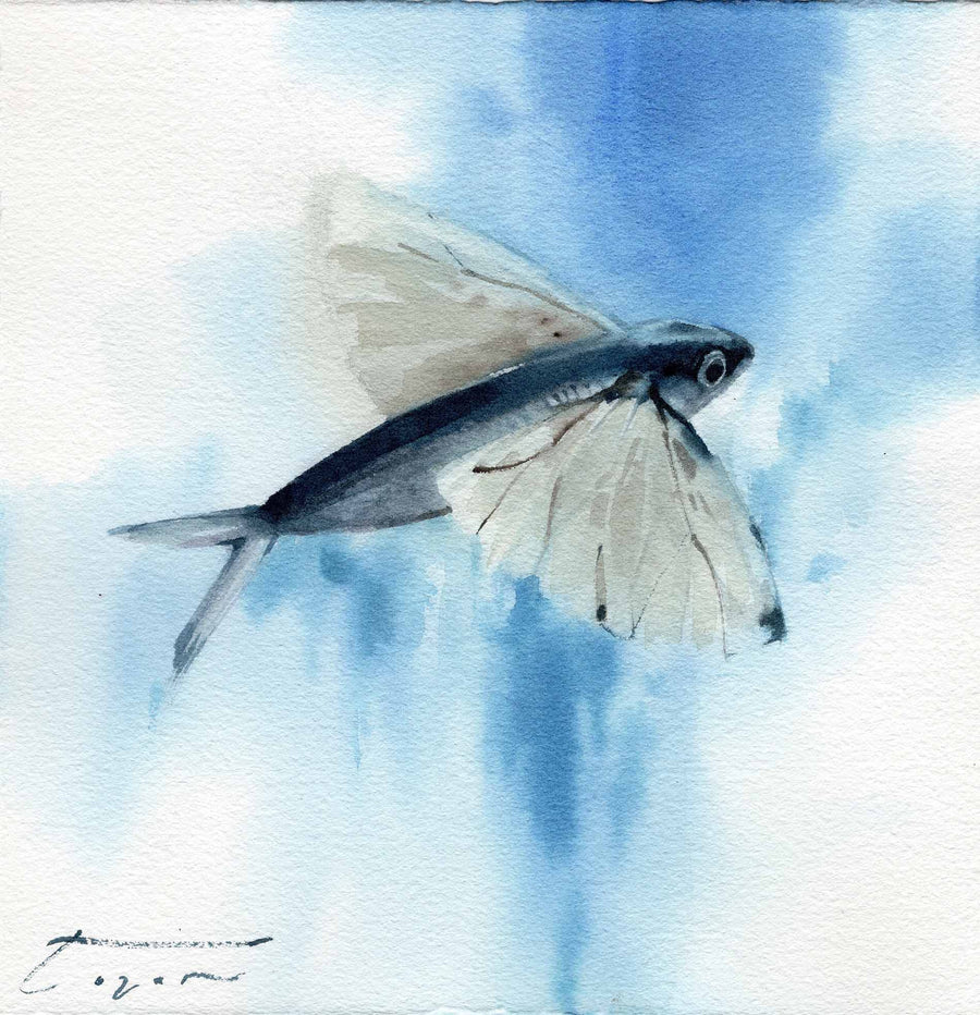 Flying Fish