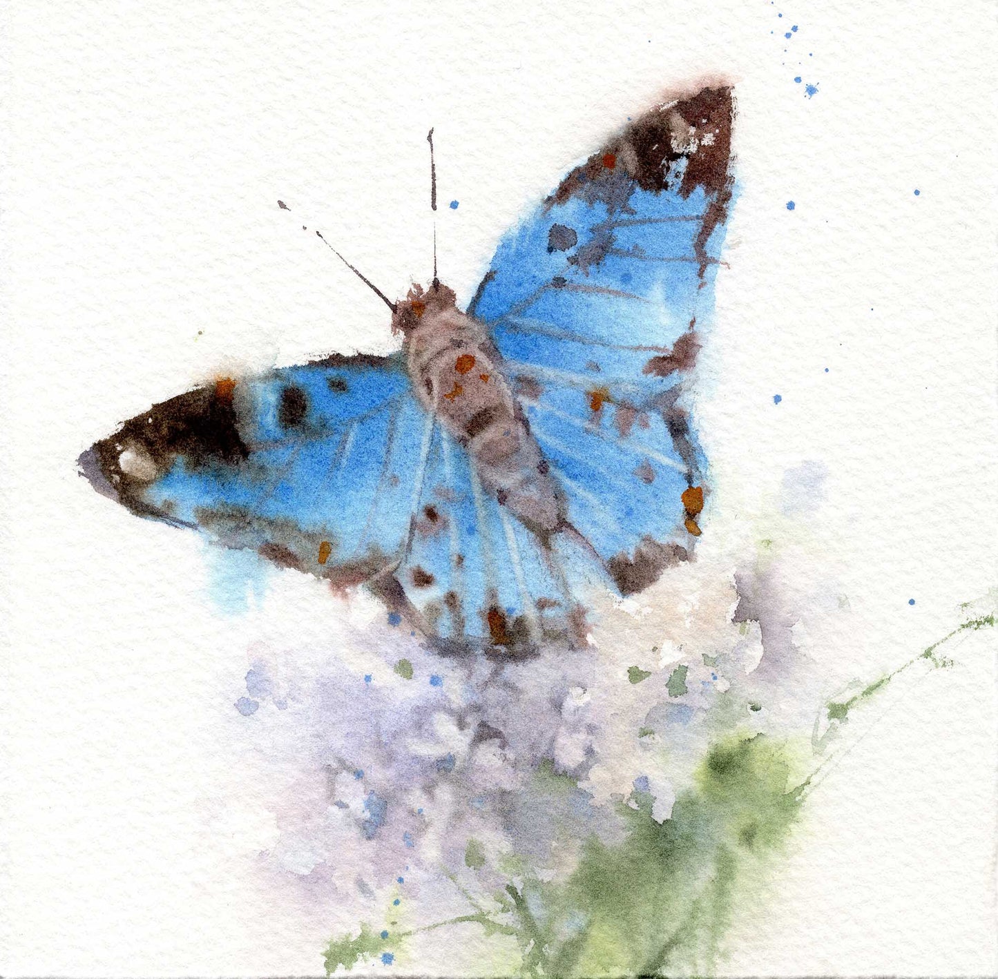Blue and Floral Butterfly