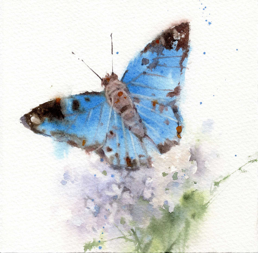 Blue and Floral Butterfly