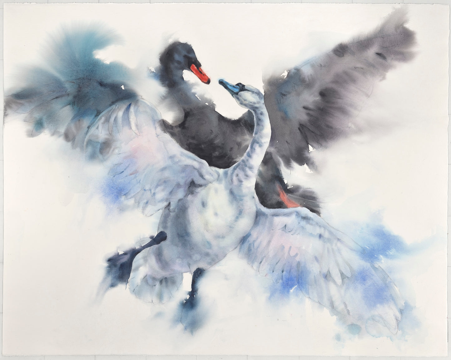 Pas de deux (swans)