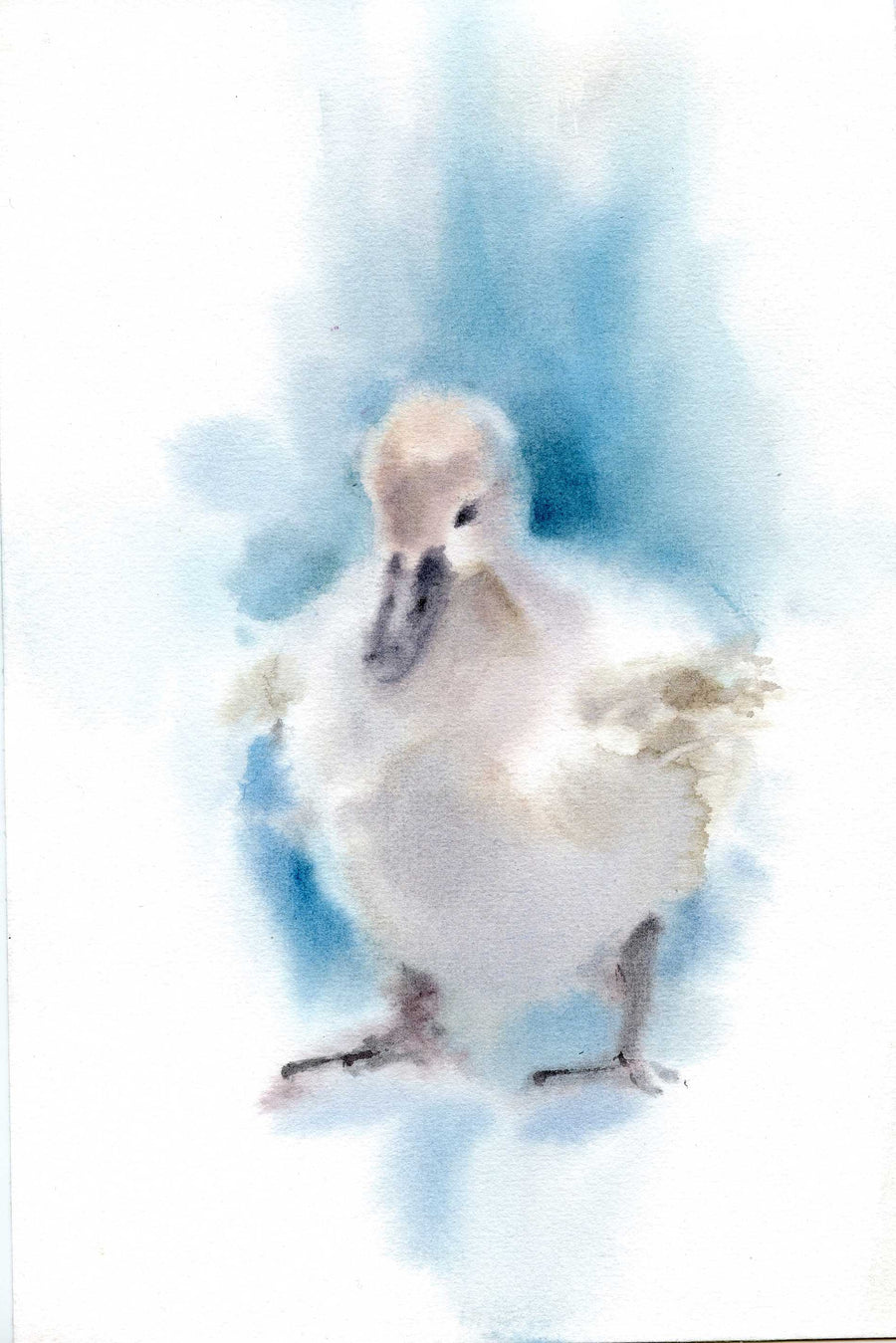 Ugly Duckling